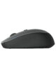 Wireless Precision Mouse Black – MW210